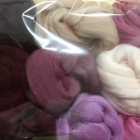 DHG 19 Micron Wool Tops Sampler - 9 Selected Colours PLUMS & PEACHES