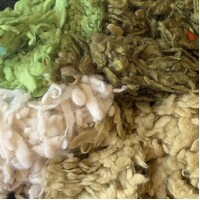 Wool Slubs - Harvest n:35gm