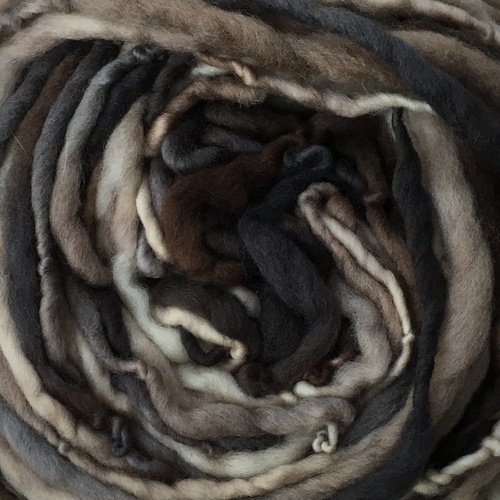 Merino Wool Spiral - Logwood 50gm